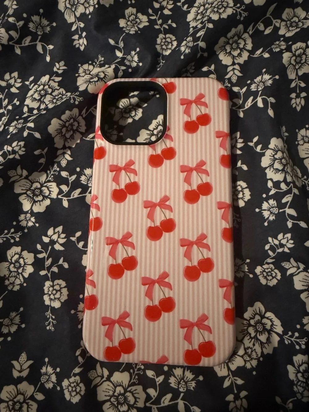 iPhone 13Pro Max Case